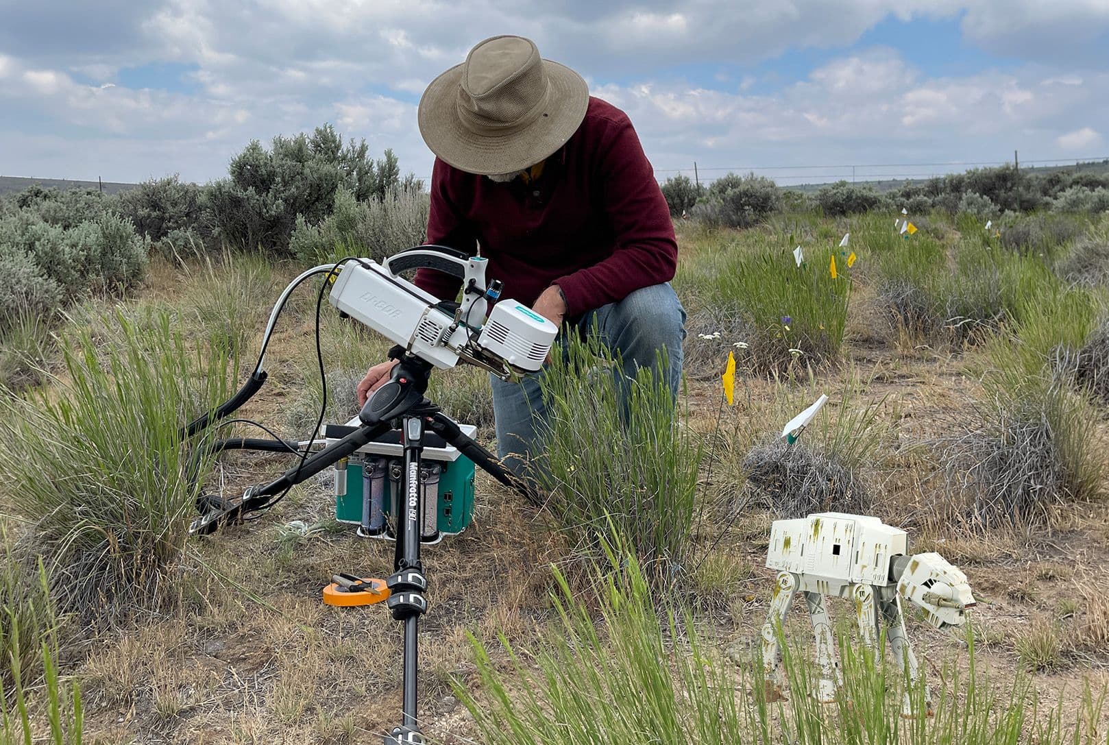 Improving rangeland bunchgrass restoration success through ecophysiology