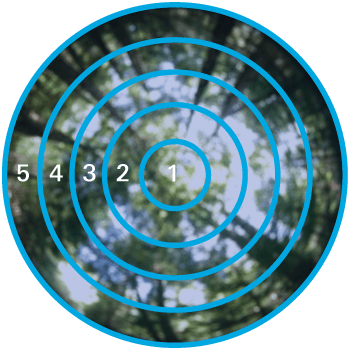 LAI 2200C Optical Sensor