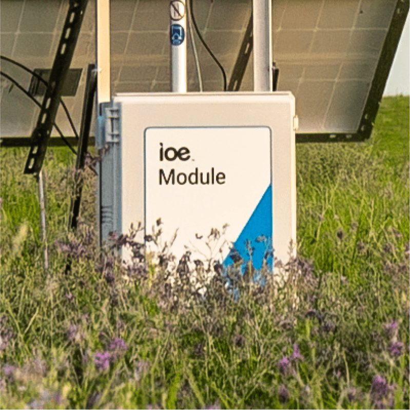 Graphic illustration of the IoE module box