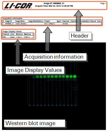 Image Studio 5.0 Single Image Per Page View example print-out thumbnail