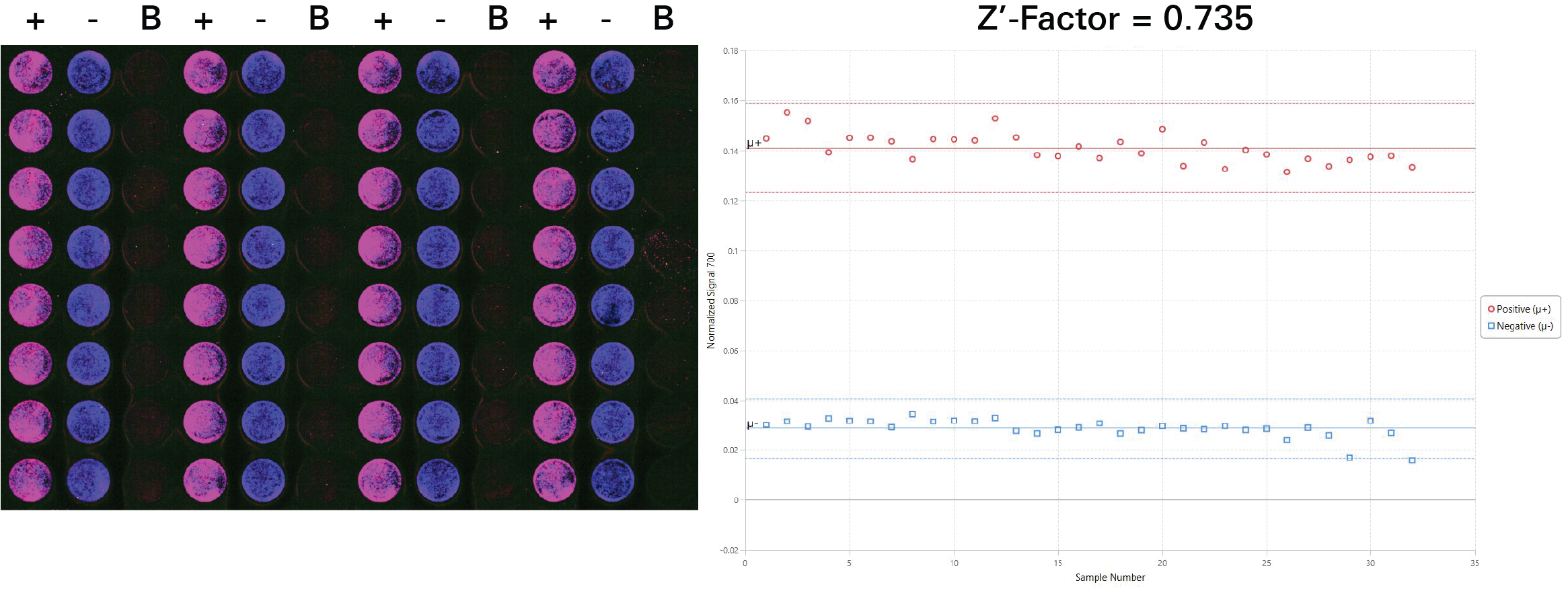 Determining Z'-factor by In-Cell Western