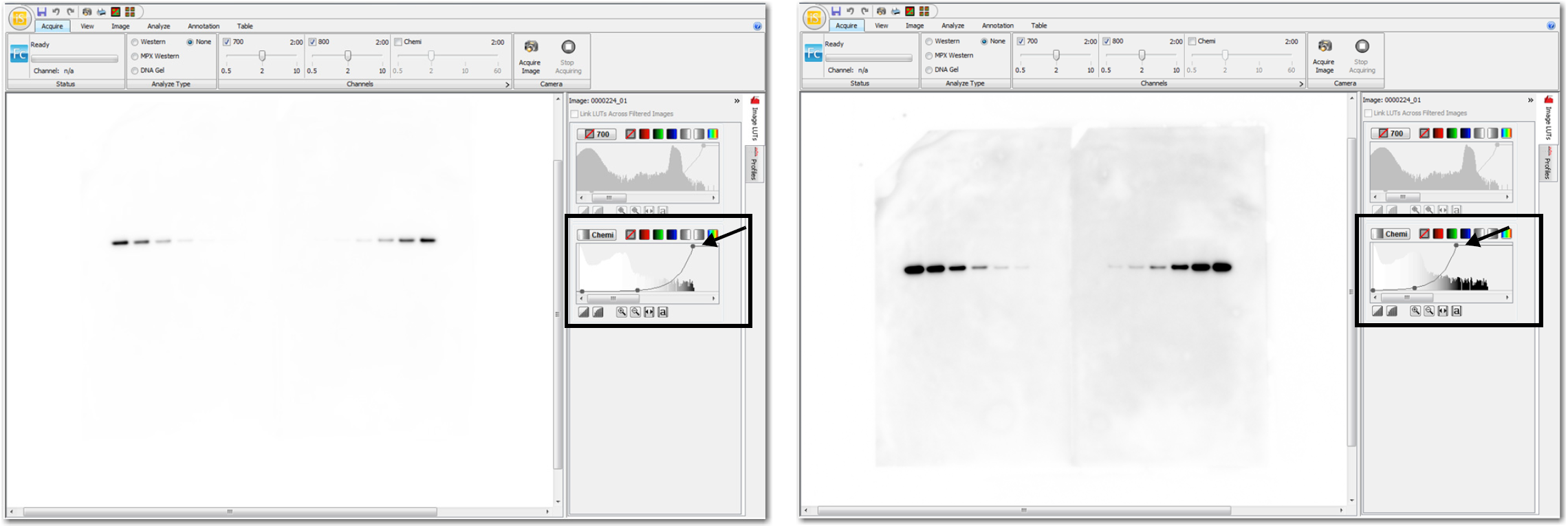 Image Studio curve overlaying the histogram