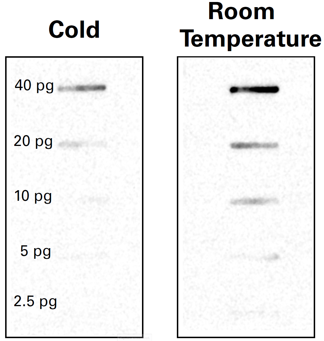 Comparing substrate reaction rate at different substrate temperatures