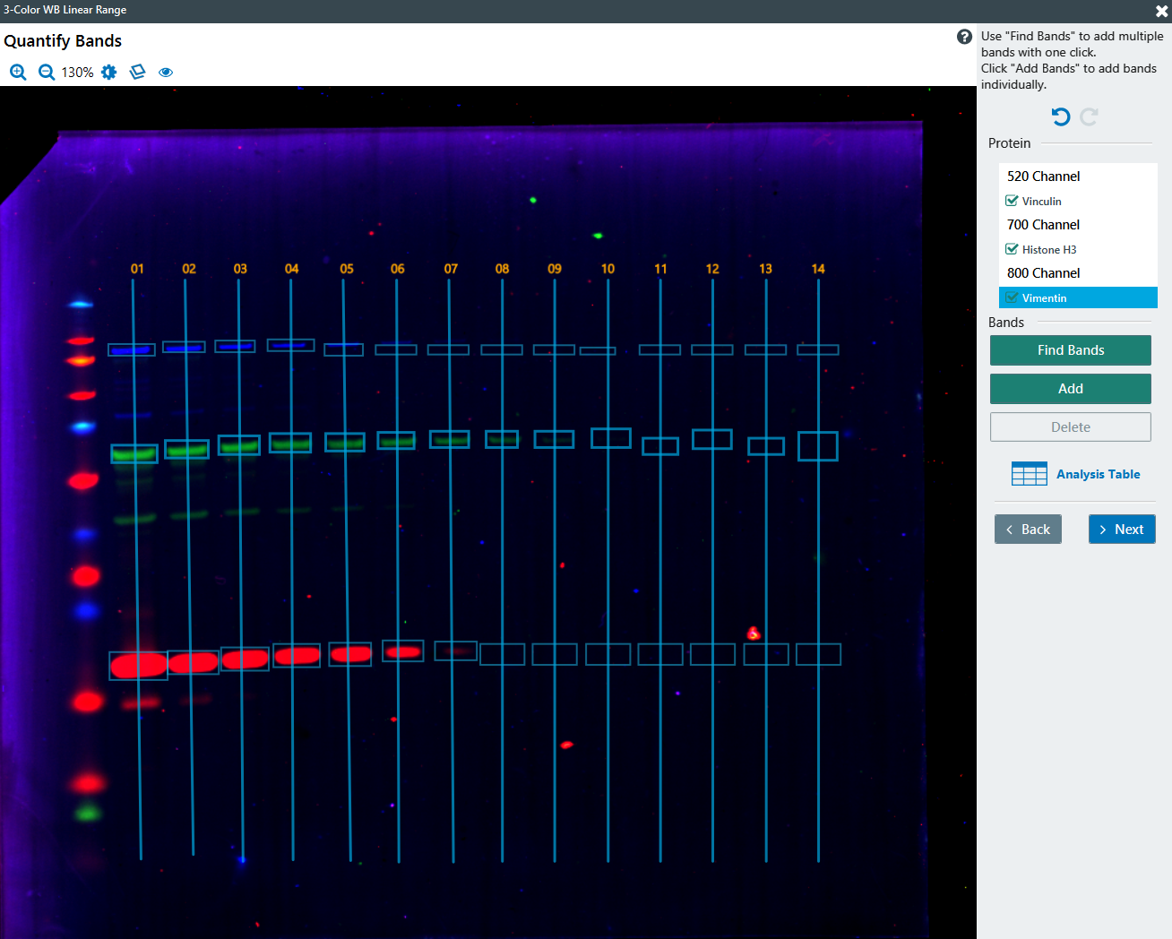 Quantifying 3-color Western bands in Empiria Studio