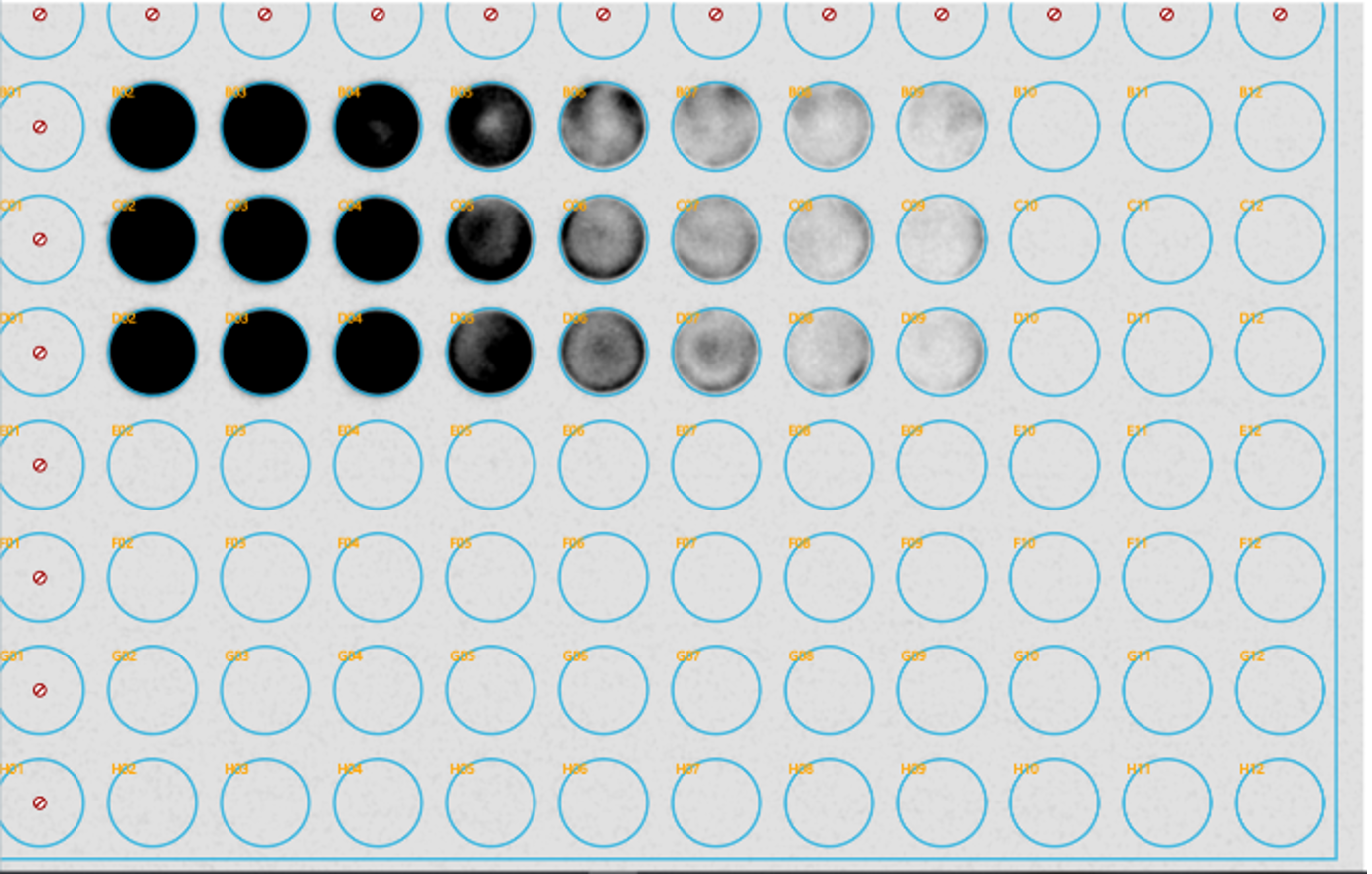 Empiria Studio analysis of black plate