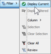 Display current filter option