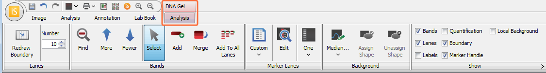 Image Studio 5.0 DNA Gel Analysis tab