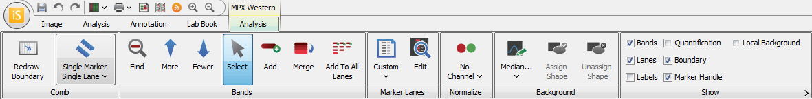 Image Studio 5.0 MPX Western Analysis Application tab