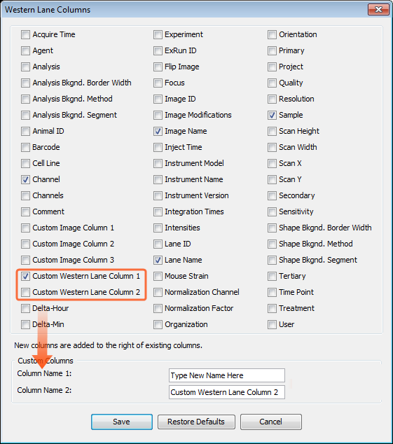 Image Studio 5.0 Western Lane Columns Dialog