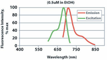 CellVue Burgundy Excitation and Emission Spectra