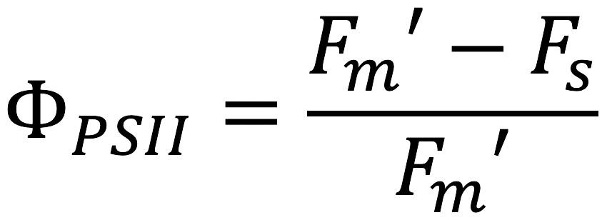 equation for light adapted leaves with the LI-600 Porometer Fluorometer