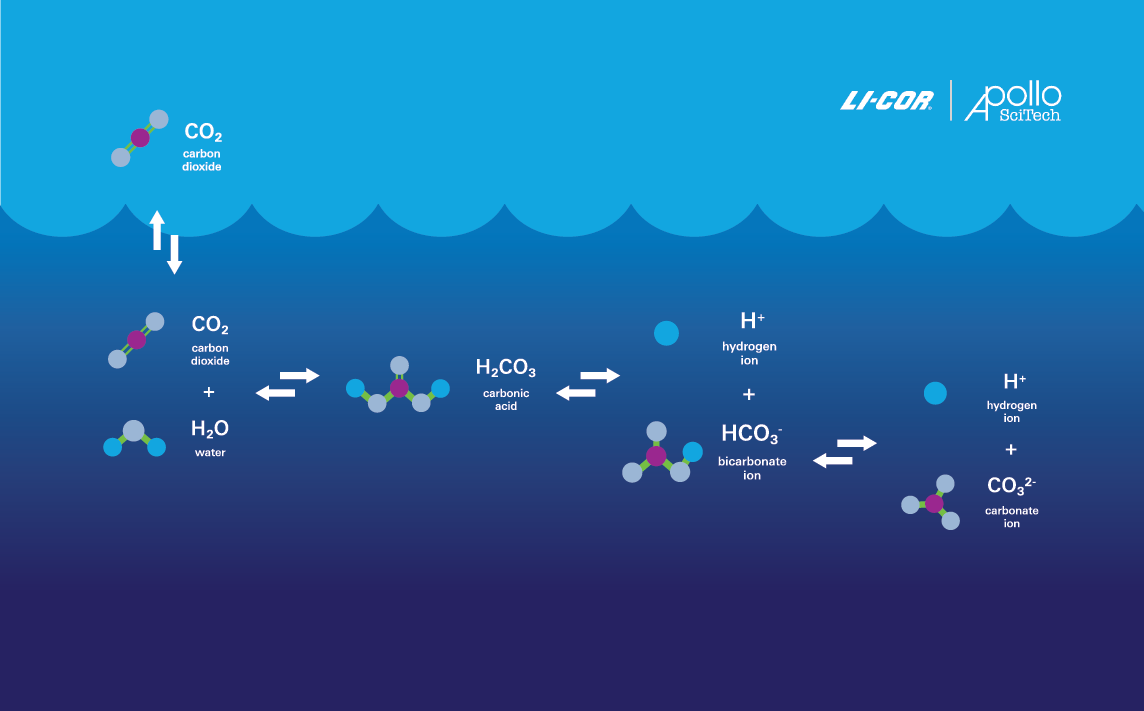 Graphic of carbonate chemistry in the air and water