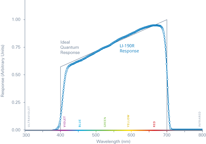 Quantum Response Energy Graph
