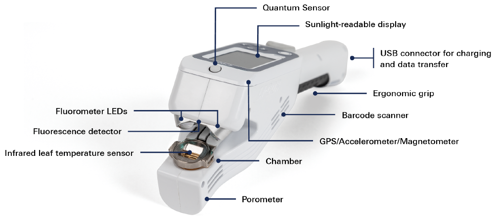 LI-600N Porometer/Fluorometer for Needles and Grasses | LI-COR