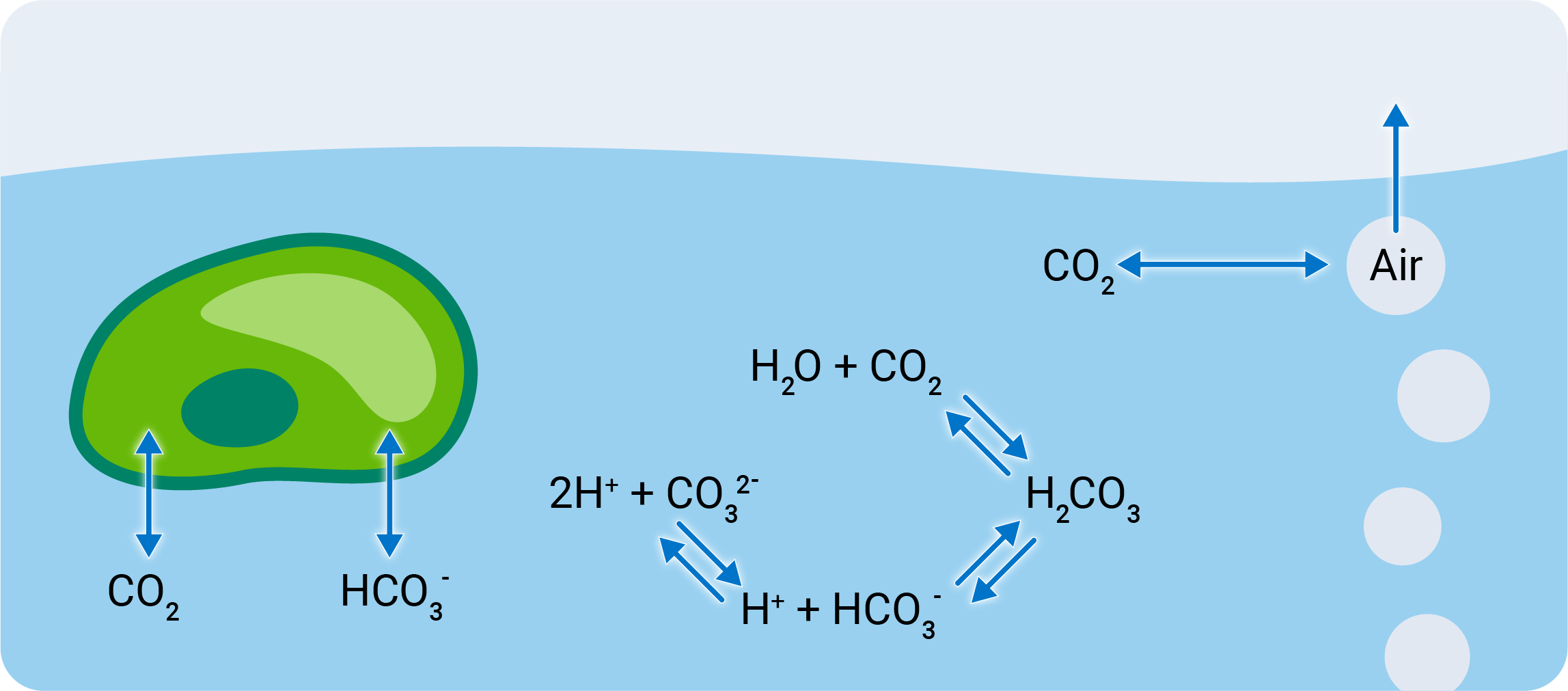 CO2 transfer from air to water